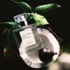 maison-louis-marie-no-13-nouvelle-vague-eau-de-parfum_4.jpg No. 13 Nouvelle Vague Eau de Parfum